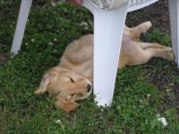 P6270313.JPG - 2005:06:27 19:33:05