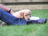 P6300316.JPG - 2005:06:30 21:04:23