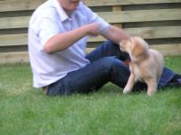 P6300318.JPG - 2005:06:30 21:04:56