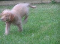 P6300319.JPG - 2005:06:30 21:04:58