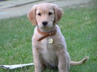 P6300320.JPG - 2005:06:30 21:05:09