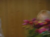 P7020336.JPG - 2005:07:02 15:07:39