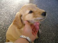 P7040353.JPG - 2005:07:04 07:17:42