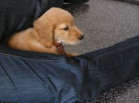 P7040354.JPG - 2005:07:04 07:18:56