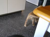 P7040356.JPG - 2005:07:04 07:19:57