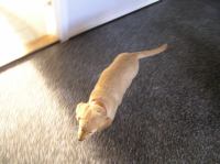 P7040357.JPG - 2005:07:04 07:20:42