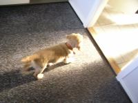 P7040358.JPG - 2005:07:04 07:20:47