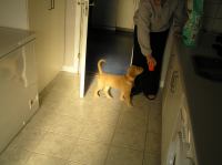 P7040359.JPG - 2005:07:04 07:21:06