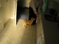 P7040360.JPG - 2005:07:04 07:21:07