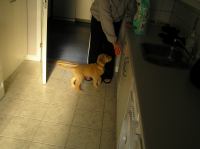 P7040361.JPG - 2005:07:04 07:21:08