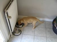 P7040363.JPG - 2005:07:04 07:21:40