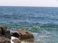 P7100370.JPG - 2005:07:10 12:29:16