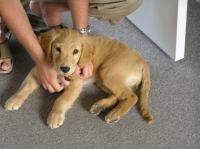 P7170378.JPG - 2005:07:17 08:41:42