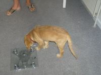 P7170379.JPG - 2005:07:17 08:41:55