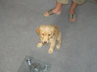 P7170380.JPG - 2005:07:17 08:41:58