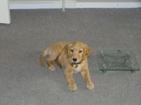 P7170381.JPG - 2005:07:17 08:42:16