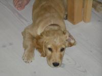 P7170382.JPG - 2005:07:17 11:28:17