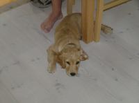 P7170383.JPG - 2005:07:17 11:28:21