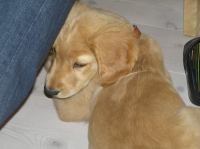 P7170395.JPG - 2005:07:17 12:04:23