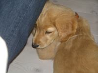 P7170396.JPG - 2005:07:17 12:04:26