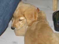 P7170397.JPG - 2005:07:17 12:04:28