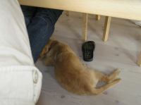 P7170398.JPG - 2005:07:17 12:04:46