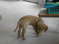 P7170401.JPG - 2005:07:17 12:05:30