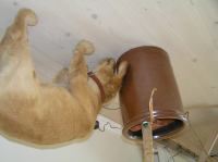 P7170404.JPG - 2005:07:17 12:06:02