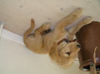 P7170405.JPG - 2005:07:17 12:06:08