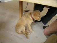 P7170406.JPG - 2005:07:17 12:07:45