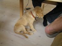 P7170407.JPG - 2005:07:17 12:07:50