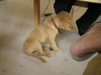 P7170408.JPG - 2005:07:17 12:07:52