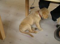 P7170409.JPG - 2005:07:17 12:07:59