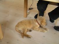 P7170411.JPG - 2005:07:17 12:08:08