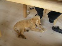 P7170412.JPG - 2005:07:17 12:08:22