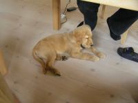 P7170414.JPG - 2005:07:17 12:08:27