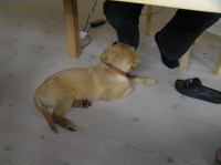 P7170415.JPG - 2005:07:17 12:08:44