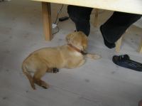 P7170416.JPG - 2005:07:17 12:08:48