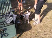 P7170420.JPG - 2005:07:17 18:08:55