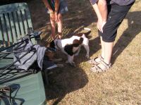 P7170421.JPG - 2005:07:17 18:08:55