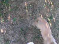 P7170423.JPG - 2005:07:17 18:46:28