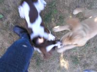 P7170424.JPG - 2005:07:17 18:46:29