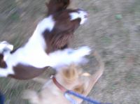 P7170425.JPG - 2005:07:17 18:46:30