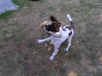 P7170426.JPG - 2005:07:17 18:46:39