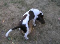 P7170428.JPG - 2005:07:17 18:46:50