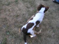 P7170429.JPG - 2005:07:17 18:46:50