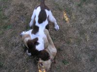 P7170430.JPG - 2005:07:17 18:47:00