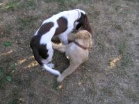 P7170431.JPG - 2005:07:17 18:47:08