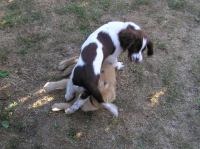 P7170432.JPG - 2005:07:17 18:47:09