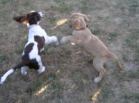 P7170433.JPG - 2005:07:17 18:47:15